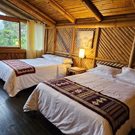 Golden Tree Mindo Eco-Lodge エクステリア 写真