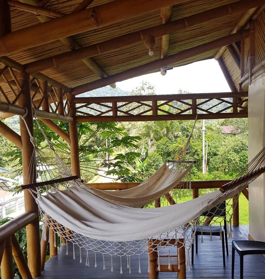 Golden Tree Mindo Eco-Lodge エクステリア 写真