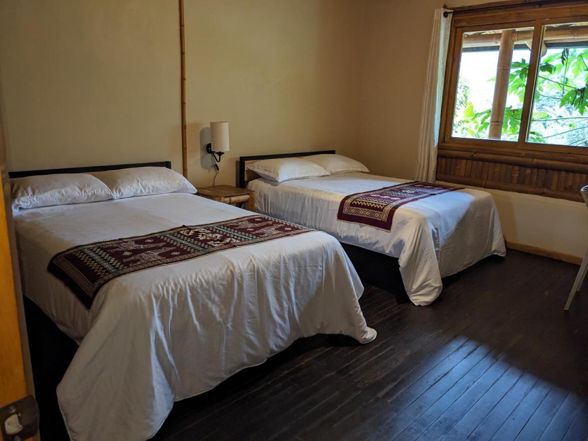 Golden Tree Mindo Eco-Lodge エクステリア 写真