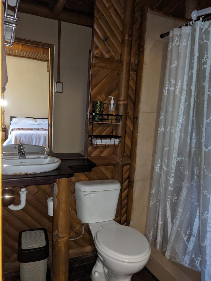 Golden Tree Mindo Eco-Lodge エクステリア 写真