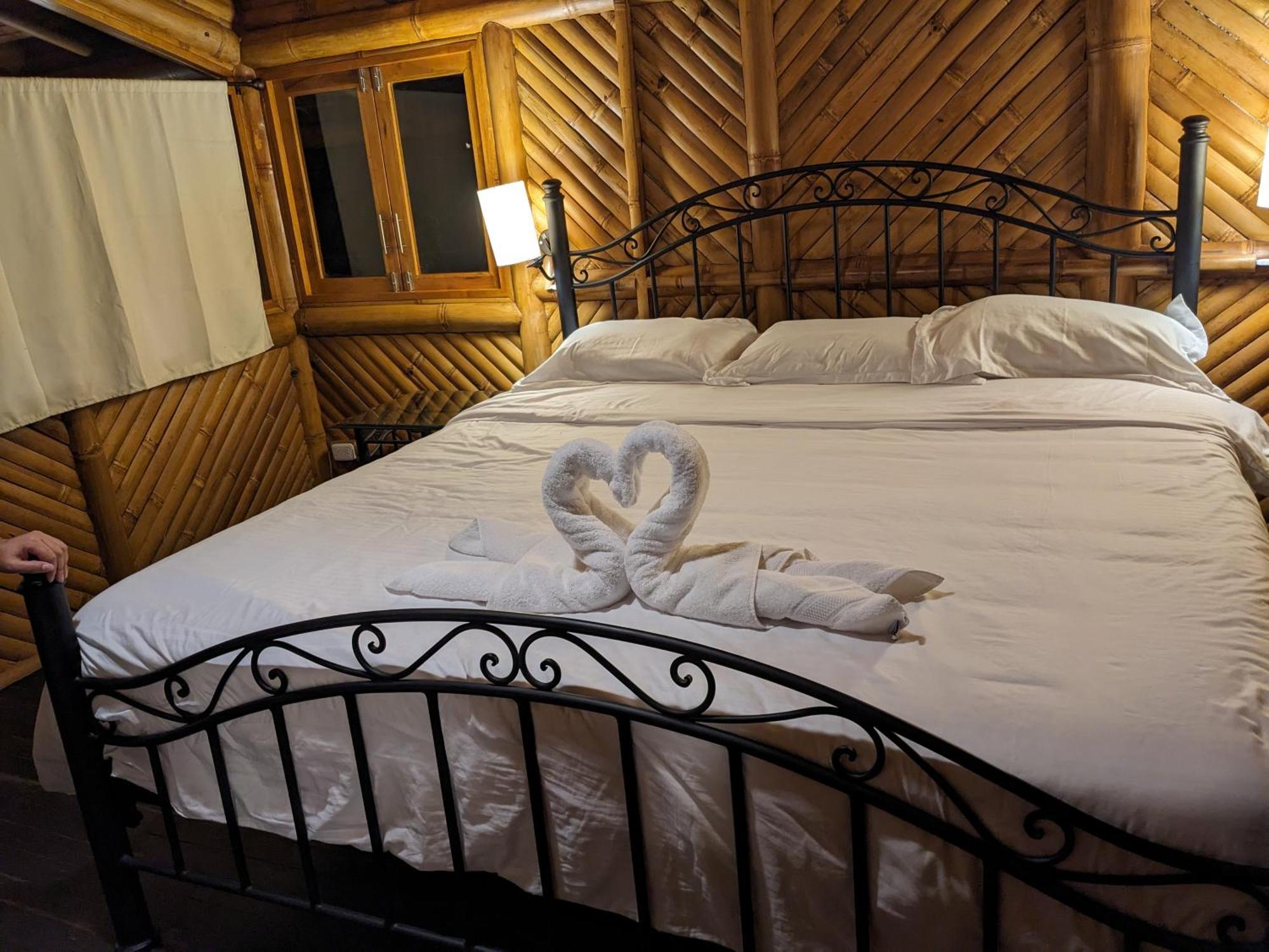 Golden Tree Mindo Eco-Lodge エクステリア 写真