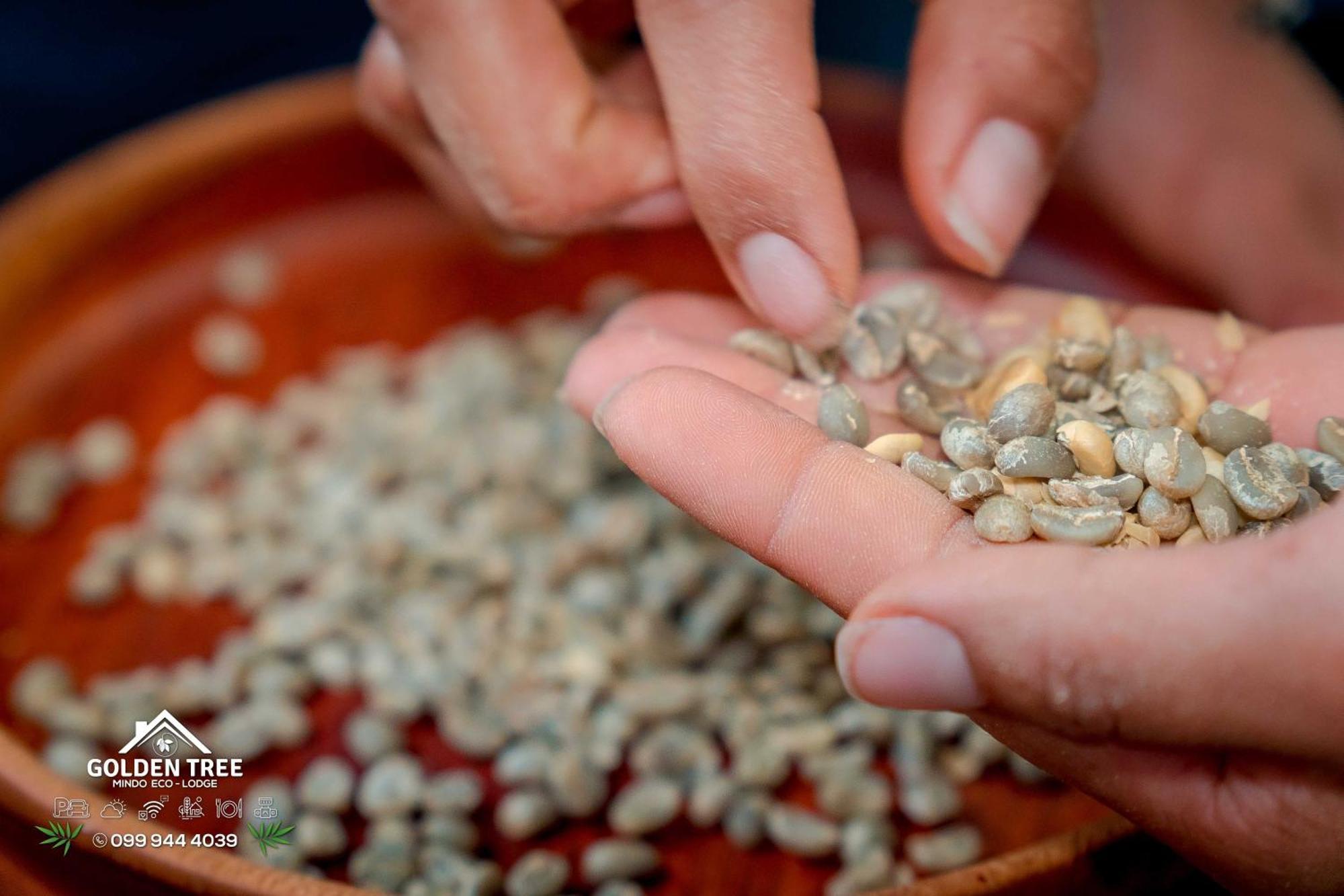 Golden Tree Mindo Eco-Lodge エクステリア 写真