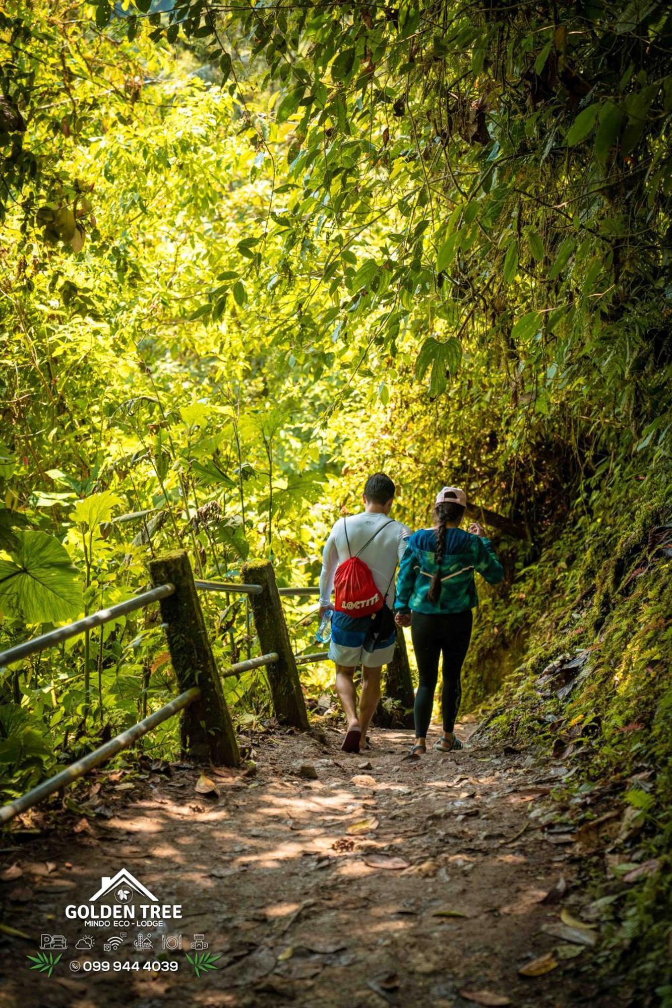 Golden Tree Mindo Eco-Lodge エクステリア 写真